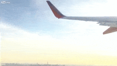 drone crash plane
